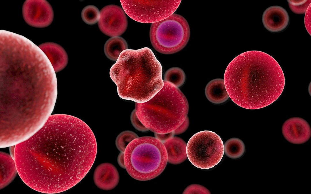 Navigating the landscape of PD-1/PD-L1 imaging tracers: from challenges to opportunities