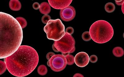 Navigating the landscape of PD-1/PD-L1 imaging tracers: from challenges to opportunities