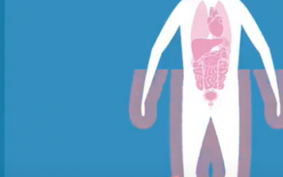 Animation video: Immune-Image project explained