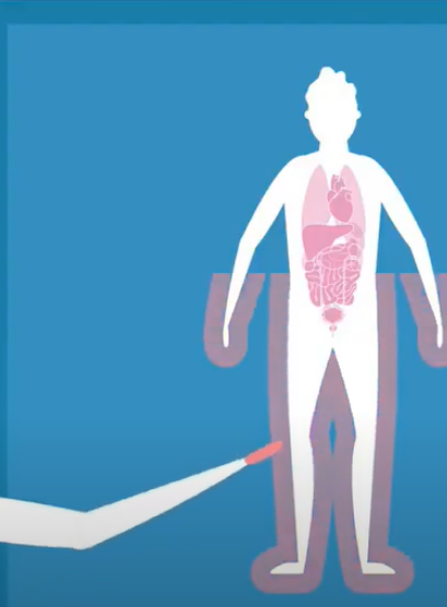 Animation video: Immune-Image project explained