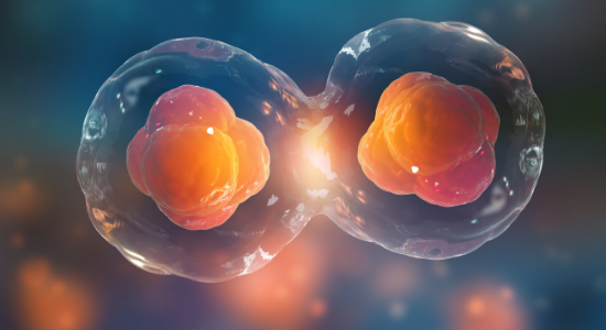 Expanding Theranostic Radiopharmaceuticals for Tumor Diagnosis and Therapy