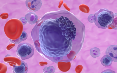 Imaging temozolomide-induced changes in the myeloid glioma microenvironment