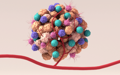 Imaging and therapeutic targeting of the tumor immune microenvironment with biologics