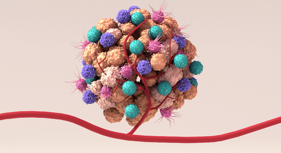 Imaging and therapeutic targeting of the tumor immune microenvironment with biologics