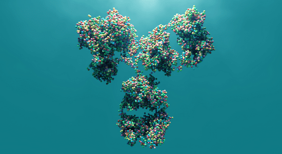 Validation of simplified uptake measures against dynamic Patlak Ki for quantification of lesional 89Zr-Immuno-PET antibody uptake