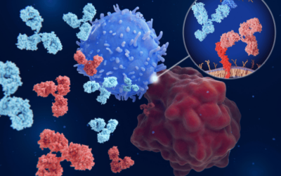 Checkpoint inhibitors and their role in the Immune-Image project