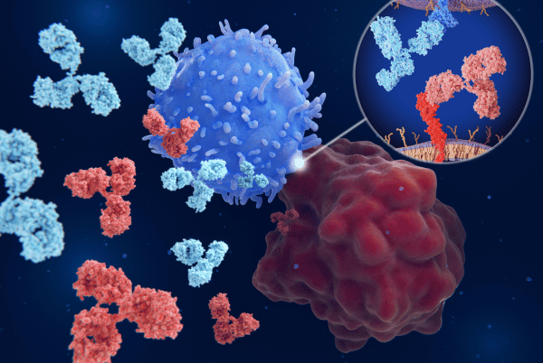 Checkpoint inhibitors and their role in the Immune-Image project